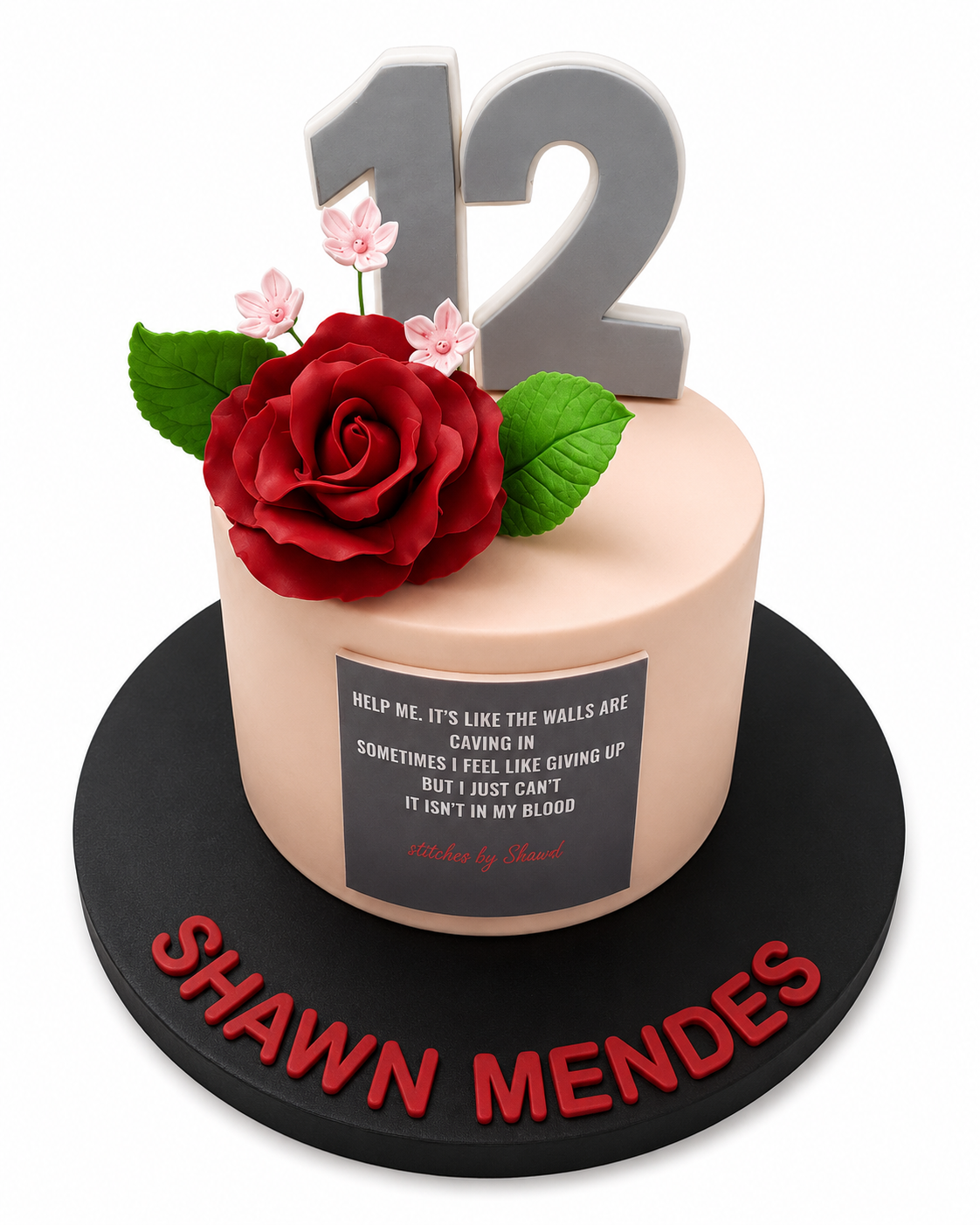 Shawn Mendes Konsept Pasta